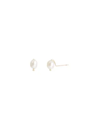 Freshwater Pearl Studs in Yellow Gold